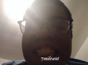 7mileant