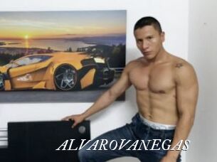 ALVAROVANEGAS Partouze