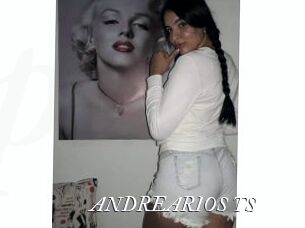 ANDREARIOS_TS