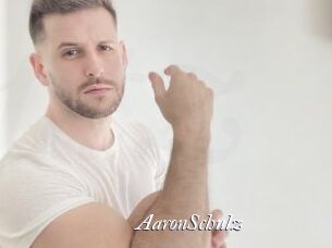 AaronSchulz
