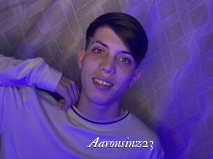 Aaronsinz23