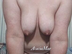 AcaciaMae