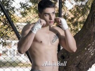 AdamBull