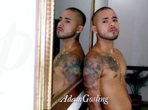AdamGosling
