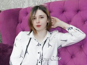 AgnesGate