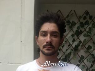 Albert_hott
