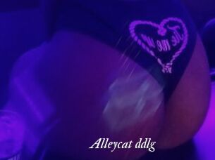 Alleycat_ddlg
