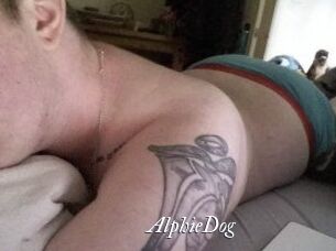 Alphie_Dog