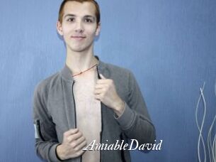 AmiableDavid