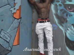 Anaconda11inchescock Partouze