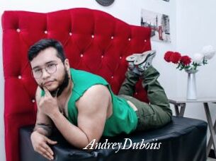 AndreyDuboiis Partouze