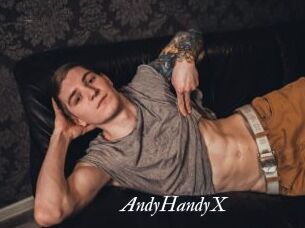 AndyHandyX