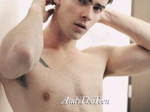 AndyTheTeen