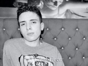 AndyTrevor Partouze