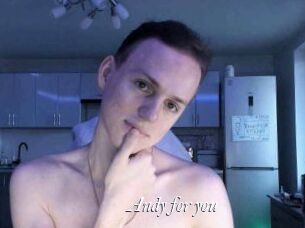 Andy_for_you