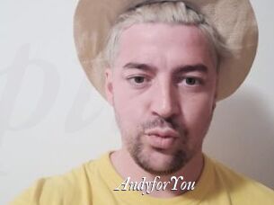 AndyforYou