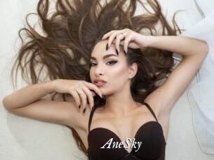 AneSky