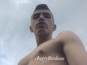 AngryBirdions