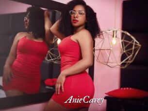 AnieCarey