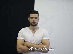 AnthonyJigalo