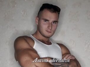 Antoni_adrenal1n