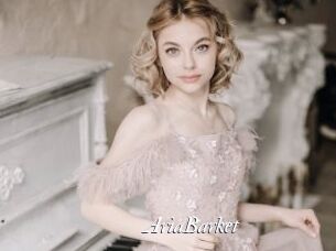 AriaBarket Partouze