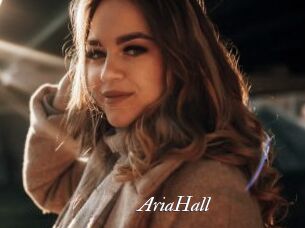 AriaHall Partouze