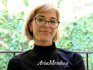 AriaMendosa