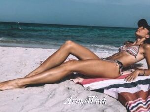 ArinaWork