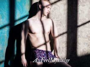 a0FeelMyBulge Partouze