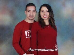 Aaronandmonica