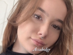 Accabodge
