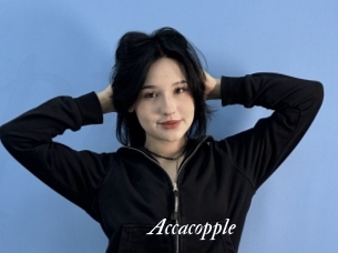 Accacopple