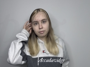 accadavidge Partouze