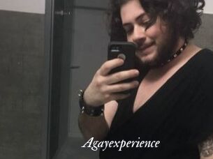 agayexperience Partouze