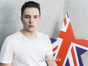 Akihakala