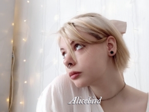 Alicebird