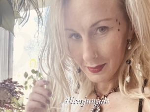 Alicesjungalo