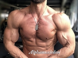 alphamuscledom Partouze