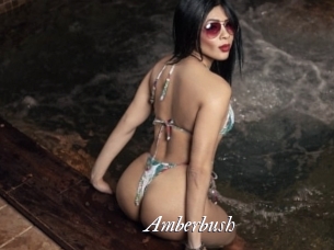 Amberbush