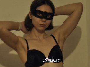 Aminet