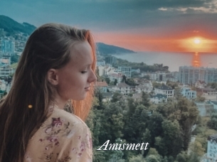 Amismett