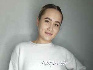 Amitybarris
