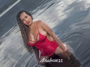 Anabom21