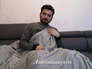 Anacondaaugusto
