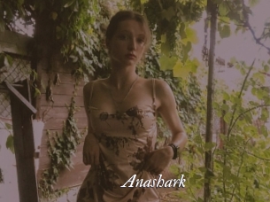 Anashark