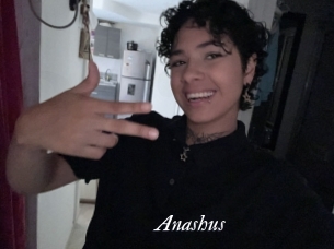 Anashus