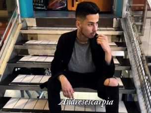 Andresescarpia