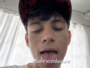 Andreyestebancam