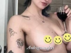 Androgynaughty